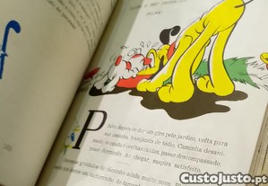 imagem_9