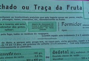 imagem_8