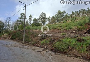 imagem_11