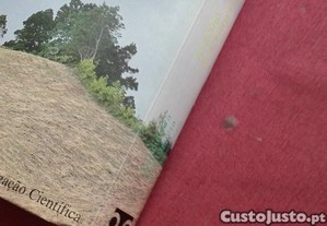 imagem_10