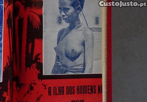 imagem_6