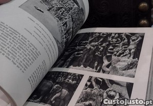 imagem_14