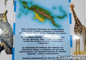 imagem_7