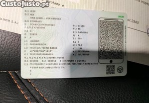imagem_21