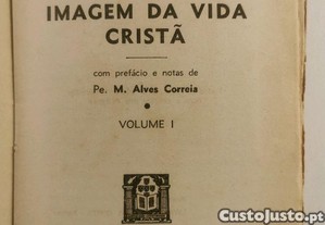imagem_8