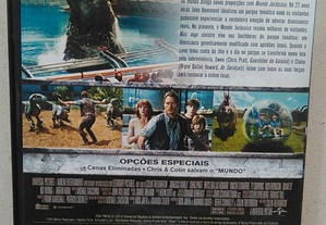 imagem_7