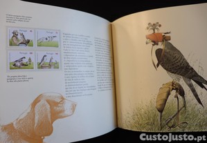 imagem_2