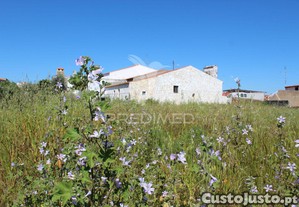 Quinta