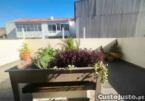 imagem_8