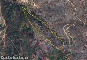 Terreno em Monchique de 21984,00 m