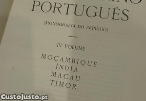 imagem_11