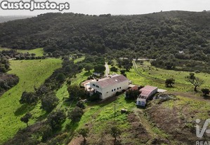 imagem_28