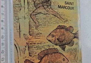 Jardim submerso - Saint Marcoux