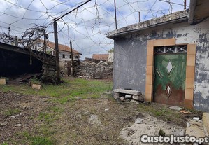 imagem_15