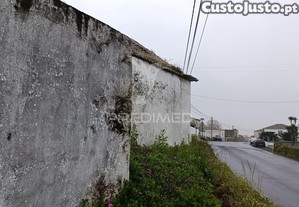imagem_12