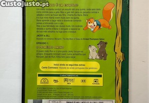 imagem_2