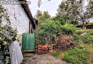 imagem_21