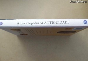 imagem_7