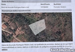 imagem_7