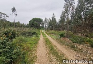 Terreno misto