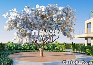 imagem_8
