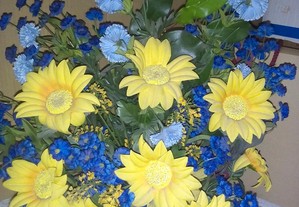 imagem_4