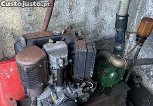 Motor Robin 9 cavalos
