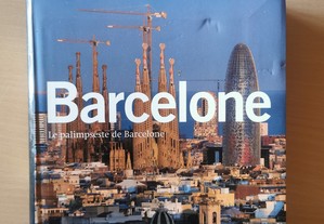 BARCELONE - Le palimpseste de Barcelone (en Français)