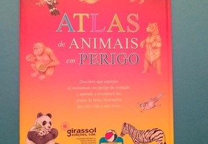 imagem_7