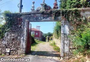 imagem_14