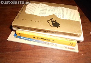 imagem_6
