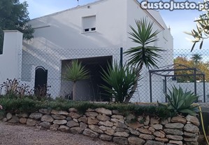 imagem_8