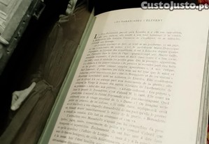 imagem_8