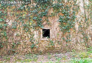 imagem_7