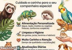 imagem_1