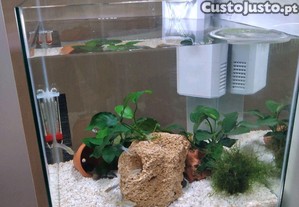 Aqurio Cubo 30L