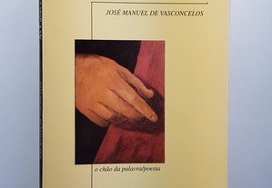 POESIA José Manuel de Vasconcelos // As Casas e o Vento 1994 Ilustrado 