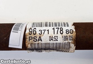 imagem_3