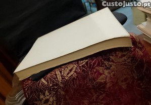imagem_10