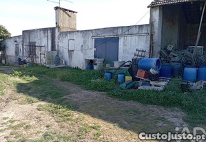 imagem_18