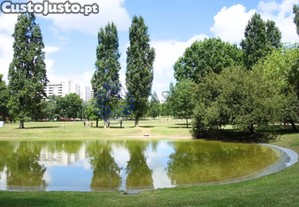 imagem_22