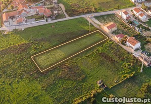 imagem_3