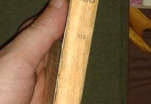 imagem_3
