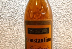 Brandy Fine Constantino