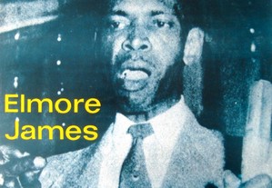 Música Vinil LP - Elmore James - Got to Move de 1981 Best Blues