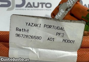 imagem_3
