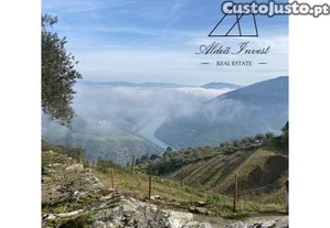 Encantadora Quintinha - Douro Vinhateiro