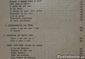 imagem_8