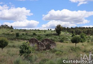 imagem_9