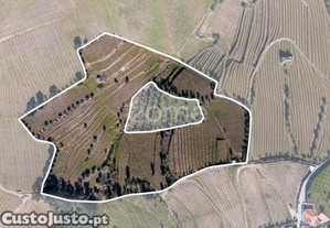 Quinta Na Régua Para Produção Vinícola